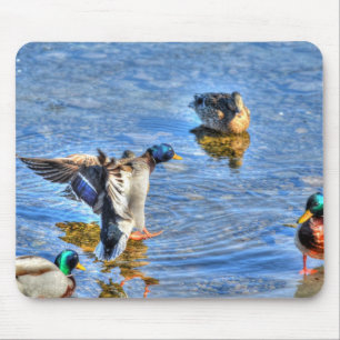 Mousepad Mallard Duck Wildlife Foto para amantes de aves
