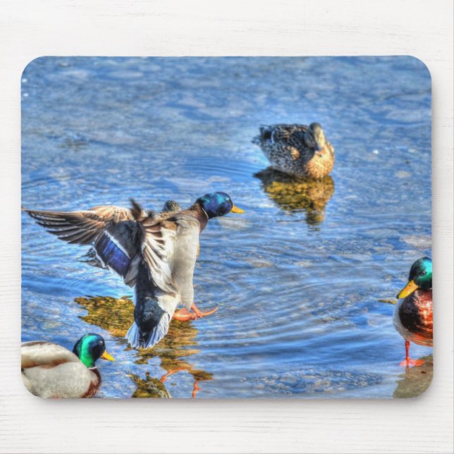 Mousepad Mallard Duck Wildlife Foto para amantes de aves (Frente)