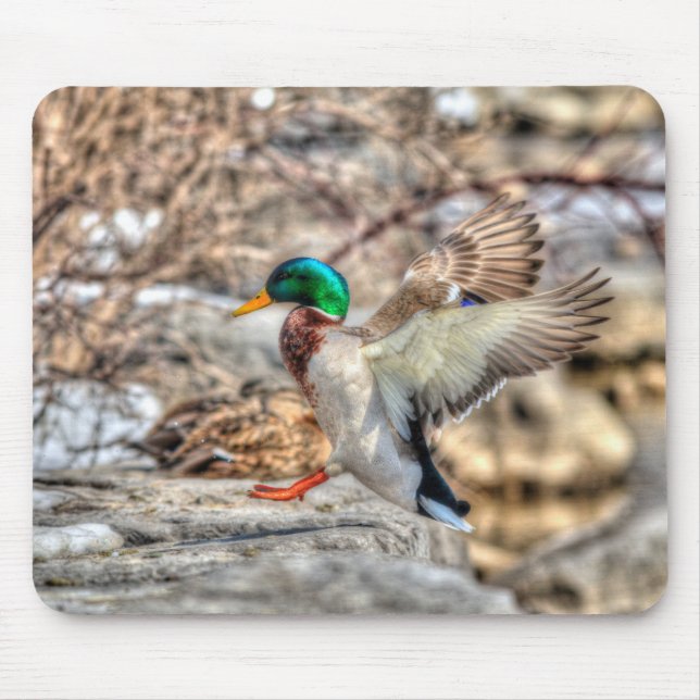 Mousepad Mallard Duck Wildlife Foto para amantes de aves (Frente)