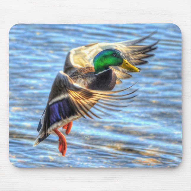 Mousepad Mallard Duck Wildlife Foto para amantes de aves (Frente)