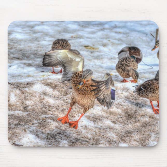 Mousepad Mallard Duck Wildlife Foto para amantes de aves (Frente)