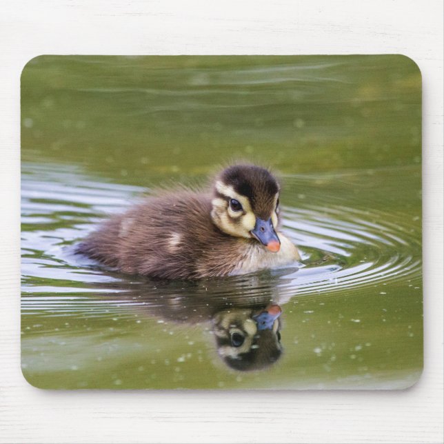 Mousepad Mallard Duckling (Frente)