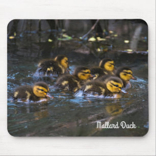 Mousepad Mallard Ducklings