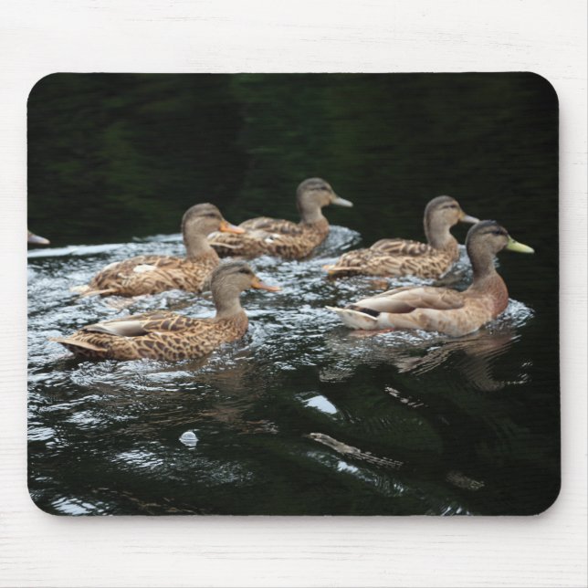 Mousepad Mallard Ducks Feminino (Frente)