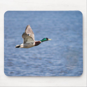 Mousepad Mallard Voadora