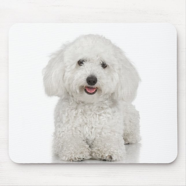Mousepad Maltês - Branco (Frente)