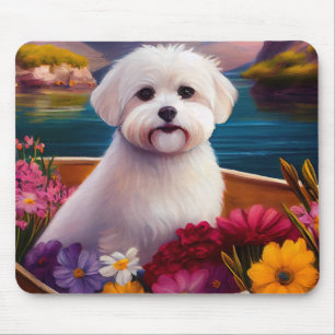 Mousepad Maltês numa Paddle: Uma Aventura Cénica
