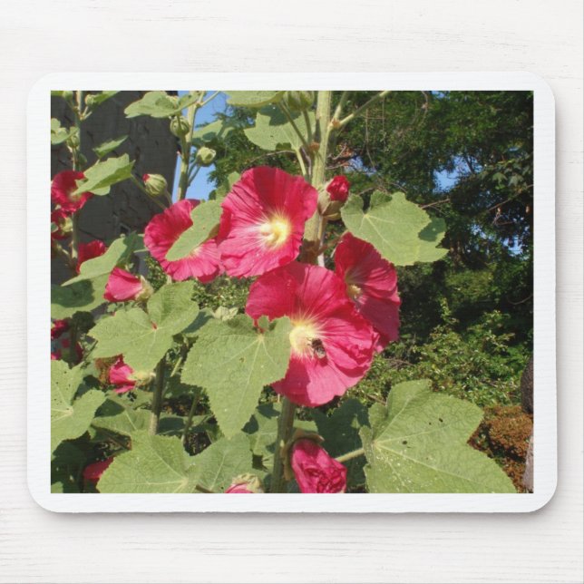 Mousepad Malvarisas Rosa (Frente)