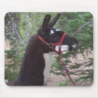 Mousepad Mama do lama