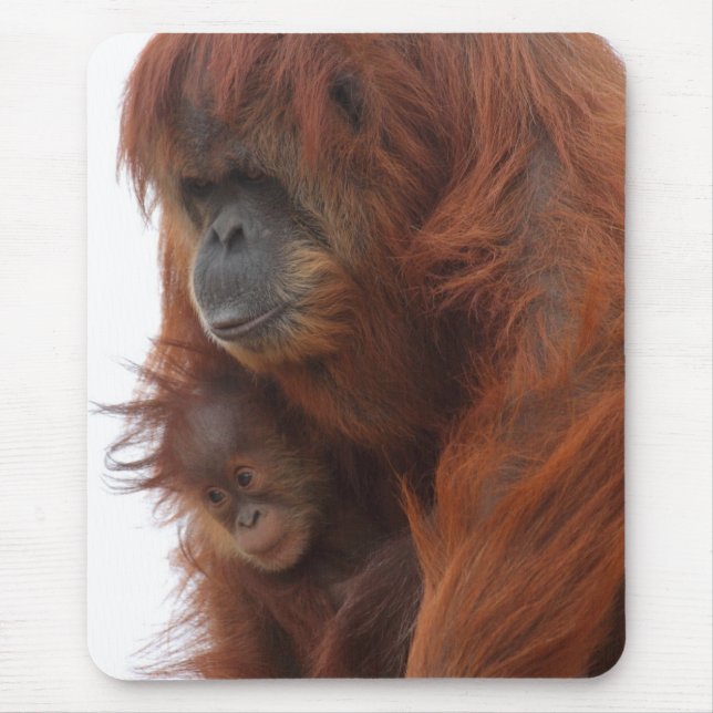 Mousepad Mamã e bebê Orangutan (Frente)