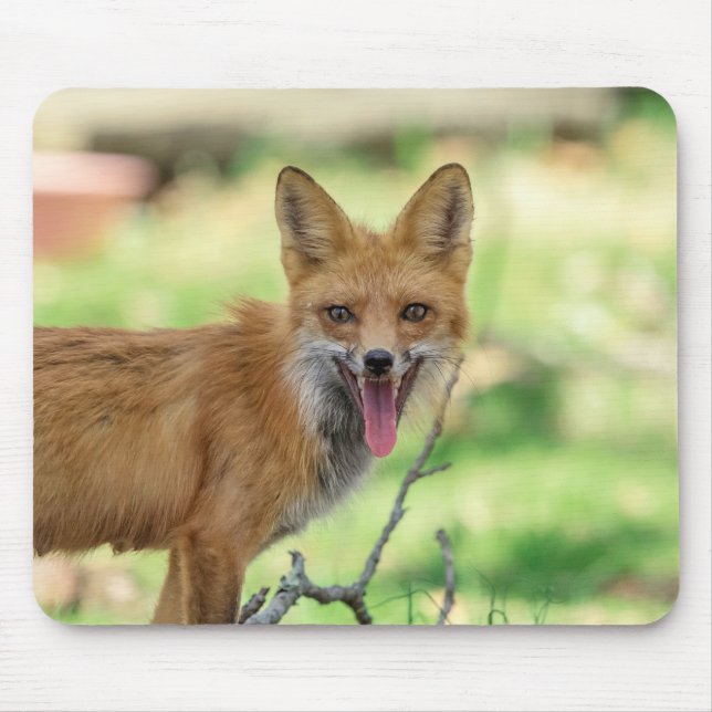 Mousepad Mama Fox no Vale do Hudson (Frente)