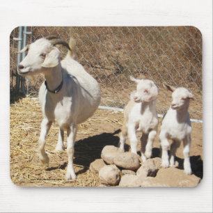 Mousepad Mama Gama e miúdos - família da cabra do pigmeu