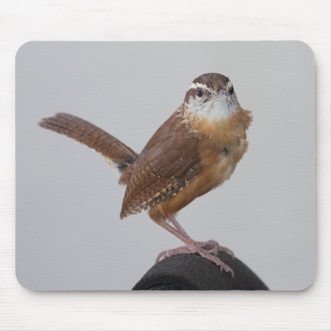 Mousepad Mama Wren (Frente)
