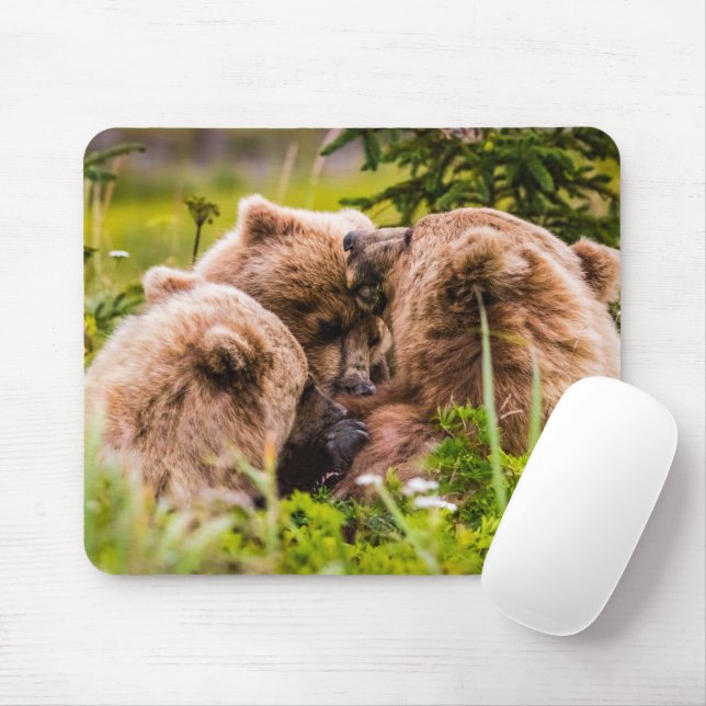 Mousepad Mamãe urso cuidando de seus dois filhotes, Lago Cl (Com mouse)