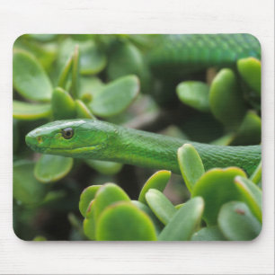 Mousepad Mamba-verde-oriental (Dendroaspis angusticeps)