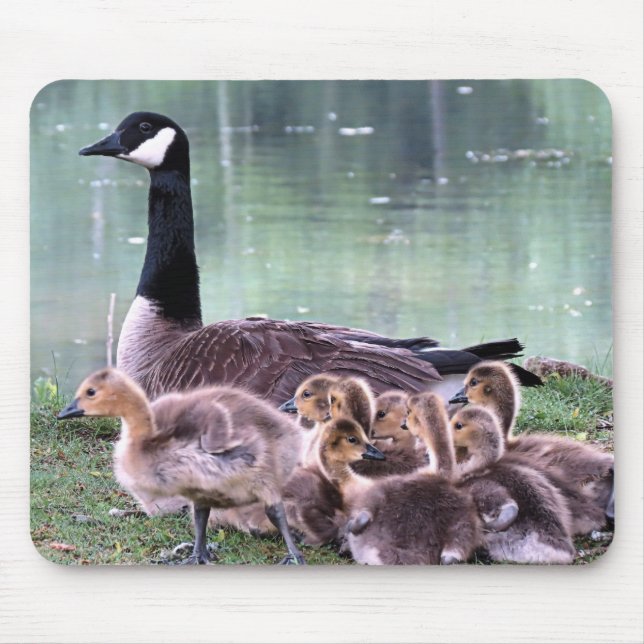 Mousepad Mamma Goose e Bebês (Frente)