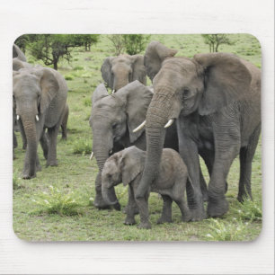 Mousepad Manada de Elefantes Africanos