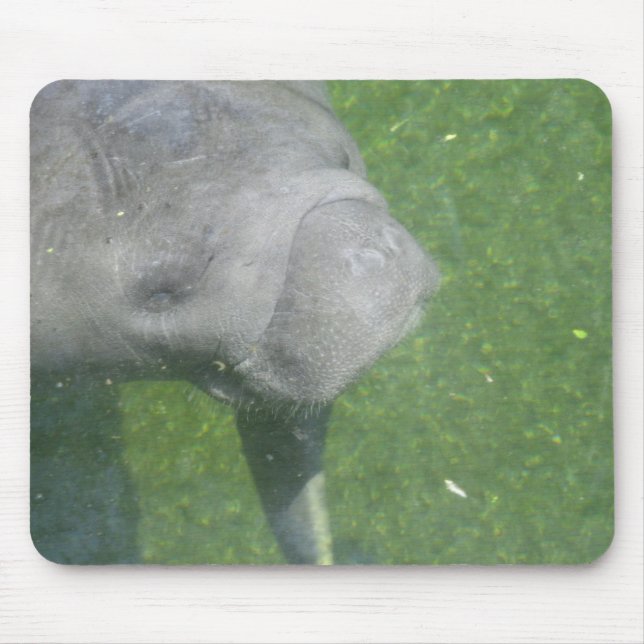 Mousepad Manatee Smile (Frente)