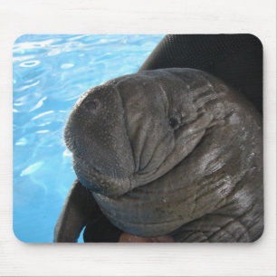 Mousepad Manati SMP04