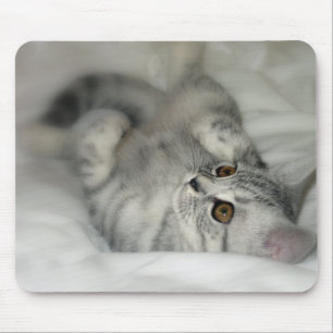 Mousepad manchado prata do gatinho