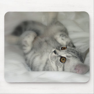 Mousepad manchado prata do gatinho