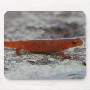 Mousepad manchado vermelho do Newt