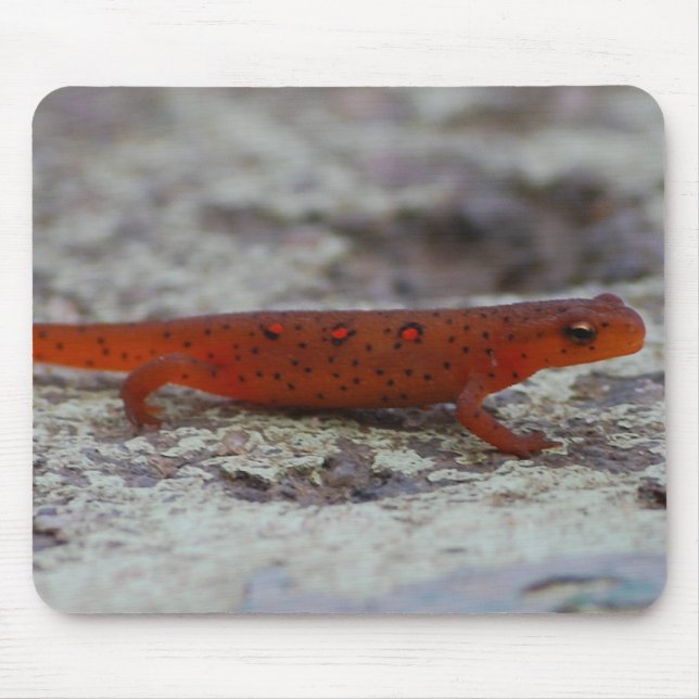 Mousepad manchado vermelho do Newt (Frente)