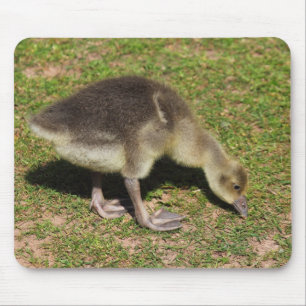 Mousepad Manchas