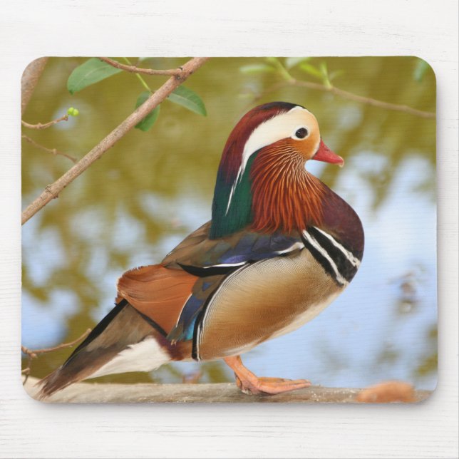 Mousepad Mandarin Duck (Frente)
