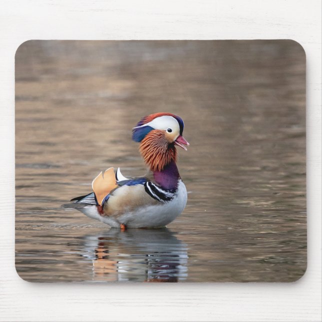 Mousepad Mandarin Duck (Frente)