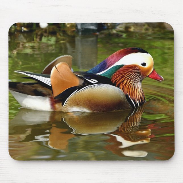 Mousepad Mandarin Duck (Frente)