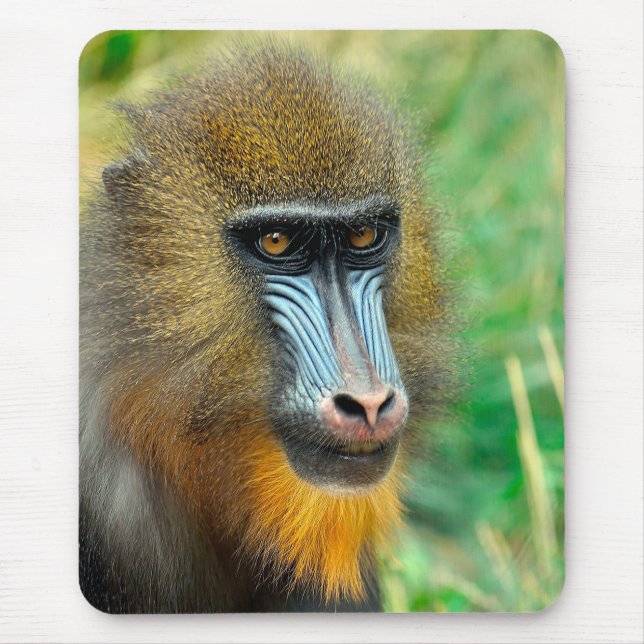 Mousepad Mandrill 002 (Frente)