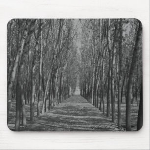 Mousepad Maneira obscuro