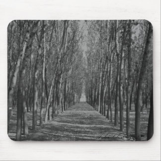 Mousepad Maneira obscuro