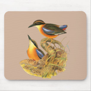 Mousepad Manguezais Pitta