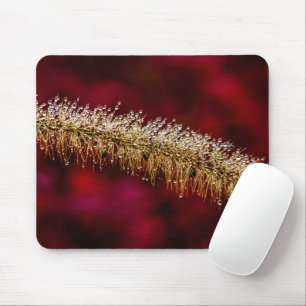 Mousepad Manhã