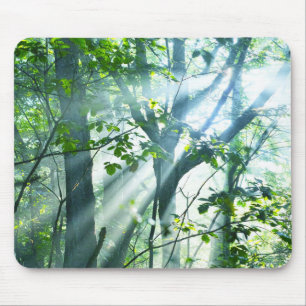 Mousepad Manhã na floresta