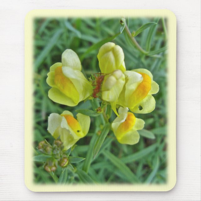 Mousepad Manteiga 'n Ovos Flores Selvagens (Frente)