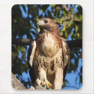 Mousepad Manteiga Vermelha Tailandesa