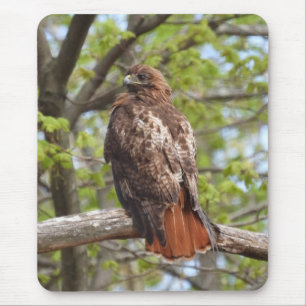 Mousepad Manteiga Vermelha Tailandesa