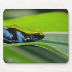 Mousepad mantella Verde-suportado