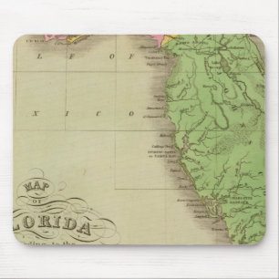 Mousepad Mapa da Flórida