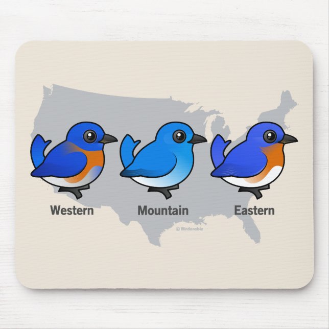 Mousepad Mapa do Bluebird (Frente)