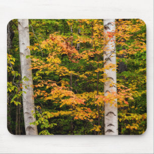 Mousepad Maple & Bétula Branca White Mountains, NH