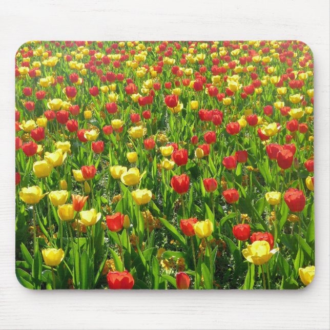 Mousepad Mar de Tulipas II (Frente)