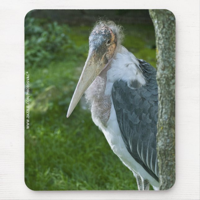Mousepad Marabou (Frente)