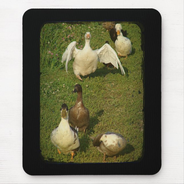 Mousepad Maravilhosa Waterfowl (Frente)