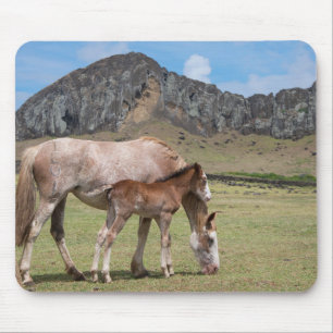 Mousepad Mare & Colt na Cratera Vulcânica de Rano Raraku