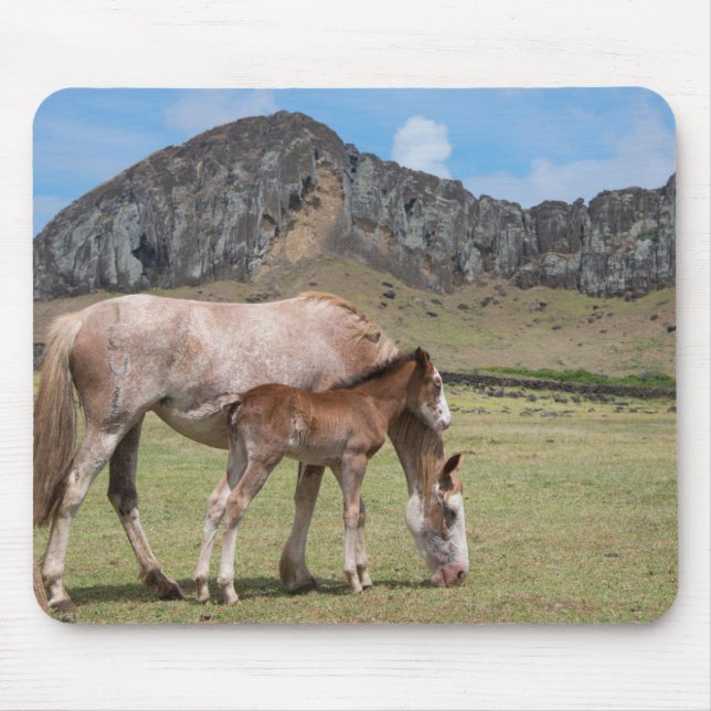 Mousepad Mare & Colt na Cratera Vulcânica de Rano Raraku (Frente)