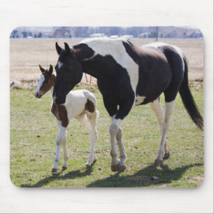 Mousepad Mare e Filly Walking